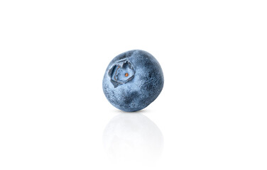 one blueberry isolated on a white background