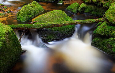Obraz na płótnie Canvas Long exposure smooth flowing water over rocks in forest