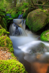 Long exposure smooth flowing water over rocks in forest