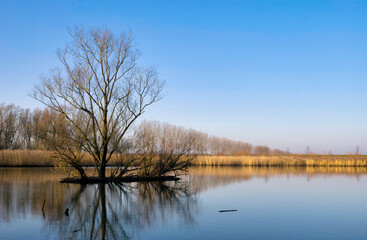 Island in a lake in a nature reserve