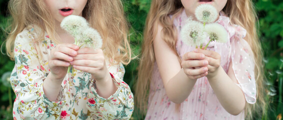 Summer, fun and relaxation. Two child girls hold dandelions in their hands and blow on them