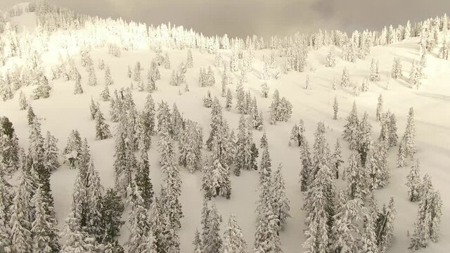 Aerial View of Canadian Nature Landscape on top of snow covered mountain and green trees during spring evening. Elfin Lake in Squamish, North of Vancouver, BC, Canada.