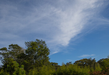 Obraz premium Cloud formations above the Knysna forest in South Africa