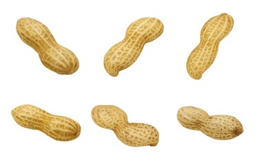 落花生 ピーナッツ イラスト リアル 殻付き