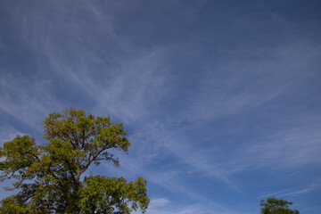 Cloud formations above the Knysna forest in South Africa