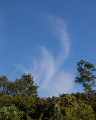 Cloud formations above the Knysna forest in South Africa