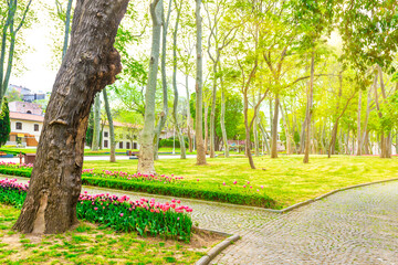 Green park with flowers and path in green spring city park