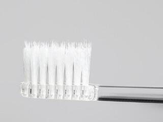 Macro Close Up Toothbrush Bristles