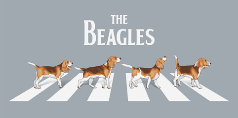 typography slogan with beagle dogs walk on the street  ,vector illustration for t-shirt. - obrazy, fototapety, plakaty