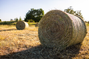 Mehrere Strohballen Heu Hauballen liegen auf dem Feld
