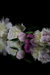 pink and white peonies