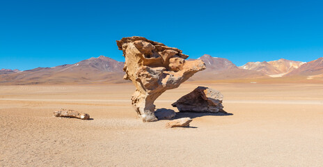 Fototapeta na wymiar Stone Tree (arbol de piedra) panorama in the siloli desert, Uyuni salt flat, Bolivia.