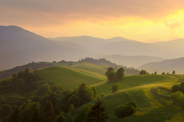Majestic view of the green mountain hills with trees and rural rod in warm sunset light..June...