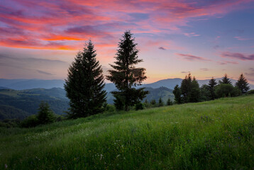 Fototapeta na wymiar Gorgeous view of green grass meadow under the picturesque evening sky in Carpathian mountains. Scenic mountain landscape in sunset time.