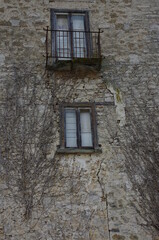 Fototapeta na wymiar Facade of an abandoned house overgrown with ivy roots with balcony and window