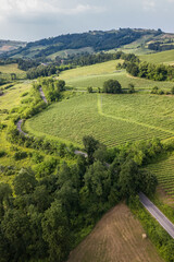 Aerial view of countryside bends vineyards hills and trees in Oltrepo Pavese