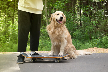 A young man and a dog on a skateboard ride in the park in the summer.