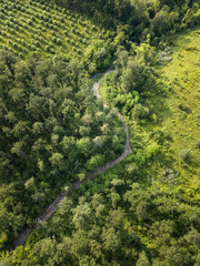 Aerial view of river bends among woods in Oltrepo Pavese
