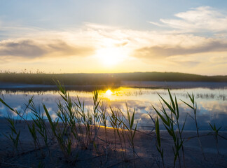 bright sunset over the small lake coast, summer natural vacation background