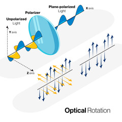 Optical rotation of unpolarized light into plane polarized light illustration.