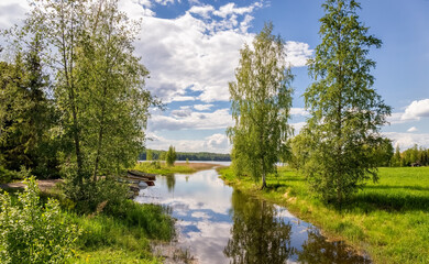 Summer landscape. Lake in the forest. Nature Conservation Concept. Summer background. High quality photo