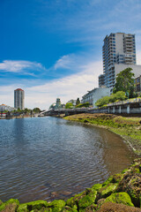 A beautiful view of skyline at the waterfront linking park to Nanaimo downtown area.