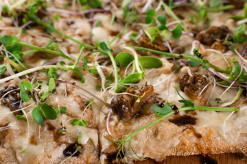 Italian pinsa romana with french escargot grape snails on dark background close-up. Pinsa with snail, cheese, microgreen. Italian gourmet cuisine