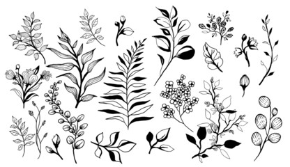 Set of modern abstract plants. Unusual collection of floral nature. Hand drawing shapes and textures. Vector graphics 