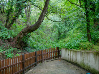 Ein Wald direkt im Stadtzentrum von Byala