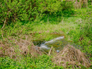 H&uuml;bscher Wasserlauf in der N&auml;he von Elenite