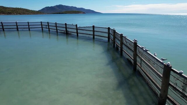 Aerial Of Seagulls On A Swimming Enclosure Dingo Beach Australia