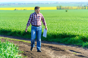 a man as a farmer poses in a field, dressed in a plaid shirt and jeans, checks reports and inspects...