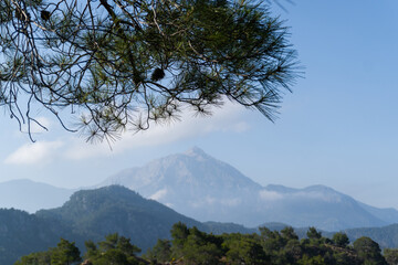 A place of strength in the Turkish mountains. View under a pine tree on the highest mountain peak...