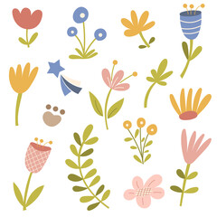 Floral decor elements on isolated background. Vector illustration.