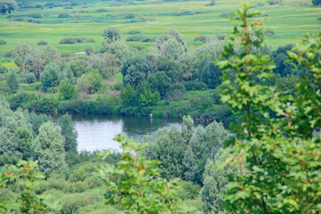 Fototapeta na wymiar Landscape with river in summer. Trees are reflected in water of river