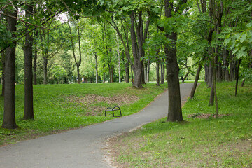 Alejka parkowa. Park Lotników Kraków 13.06.2021 15:00