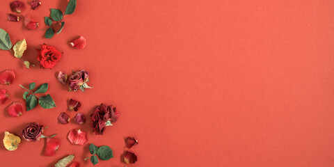 Autumn composition of roses. Dried rose flowers on red background. Flat lay, top view, copy space