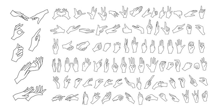 Gesturing. Set of contour hands in different gestures. Female hands in various situations. Hand showing signal or sign collection, on white background isolated. Wrist. ​vector illustration