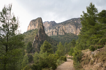 trail in the Cabezon de Oro mountain, located in the Province of Alicante, Valencian Community, Spain