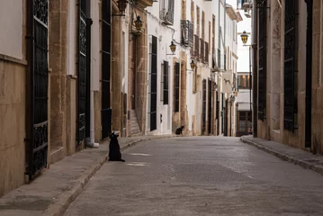 Papier Peint photo Lavable Ruelle étroite Chats noirs dans les rues de la vieille ville de Javea à Alicante, Espagne