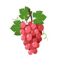 Red wine muscatel Grapes bunch with berries and leaves