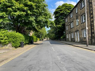 Looking along, Little Horton Green road, with old trees, and Victorian stone houses, on a sunny day in, Little Horton, Bradford, UK