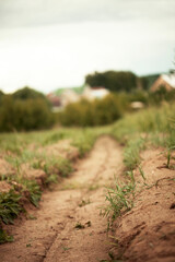 road in the countryside