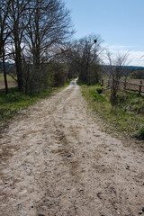 road in the countryside