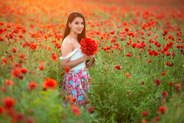 Naklejka na ściany i meble A beautiful brunette with a red bouquet in the poppy field at sunset