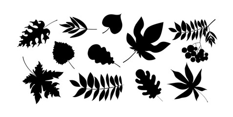 A set of black silhouette leaves - maple, birch, ash, mountain ash, chestnut, poplar, oak. Isolated on a white background. Stock vector illustration.