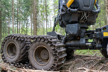 Woodworking machine tractor harvester in the forest. Primary wood processing, pruning branches....