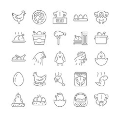 Collection of Chicken, turkey and poultry icons