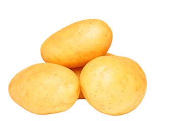four tubers of young potatoes of the new harvest isolated on white background