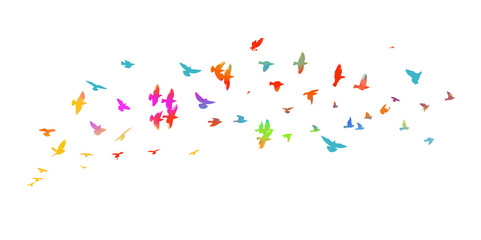 A flock of colorful birds. Vector illustration
